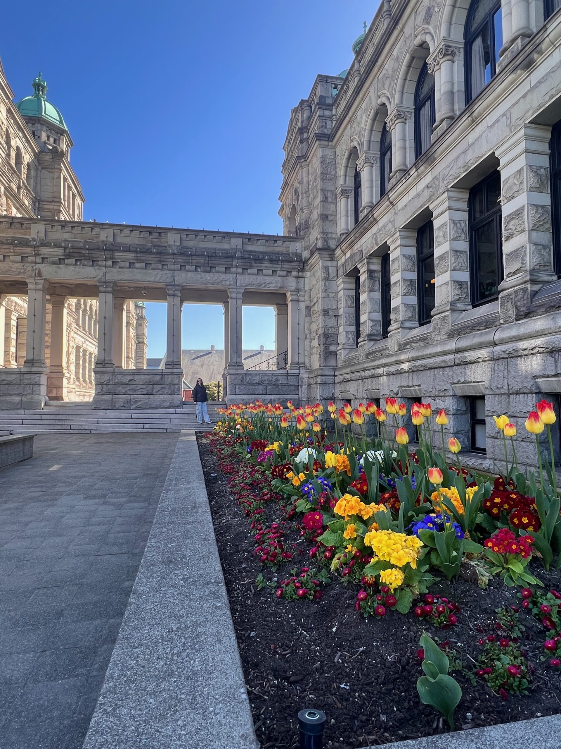 A Bunch of Flowers Beside the Building