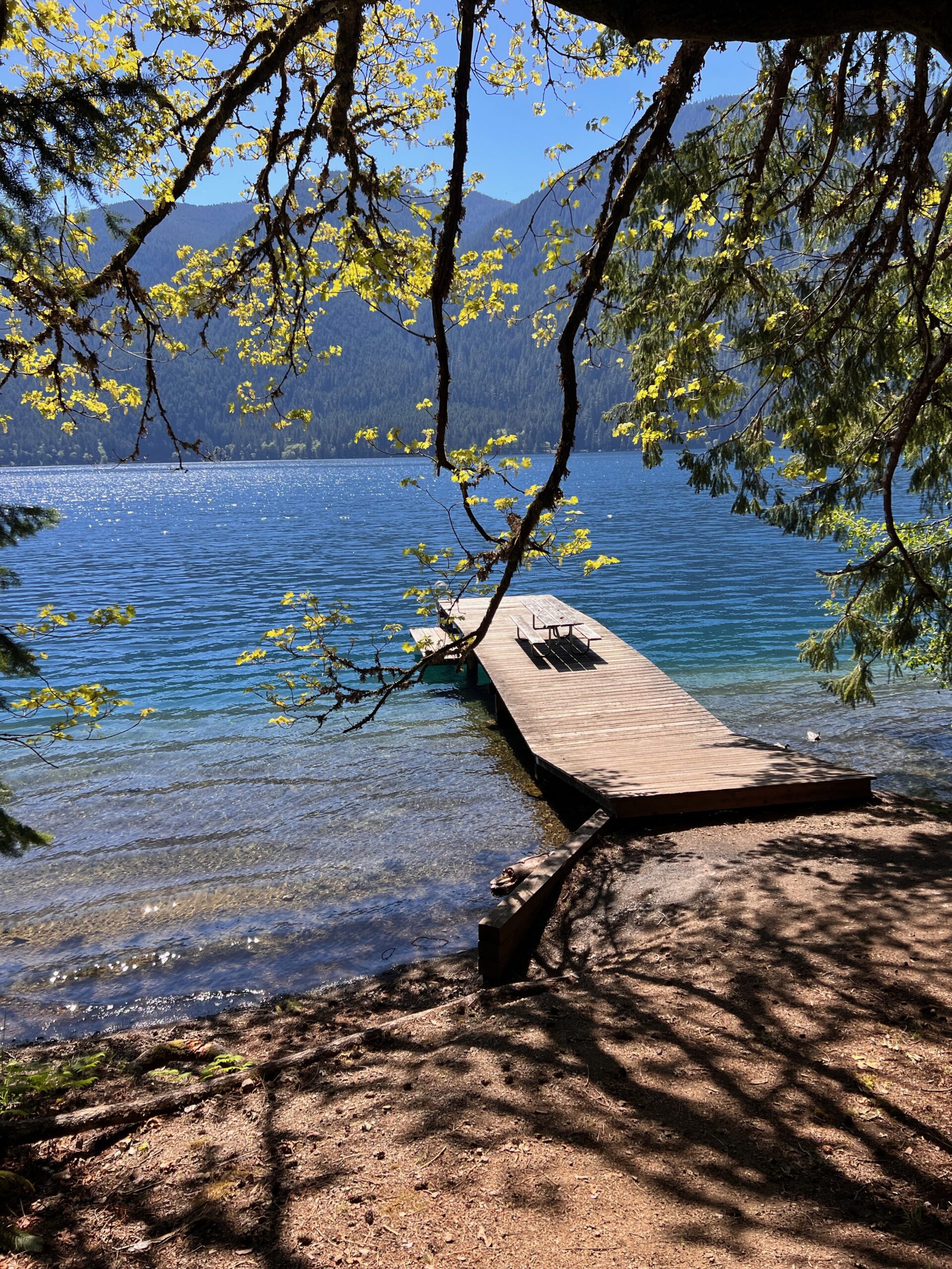 A Dock on a Lake